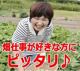 헤{s㑺c
